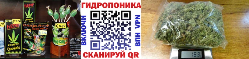 сколько стоит  Дубна  Cannafood конопля 