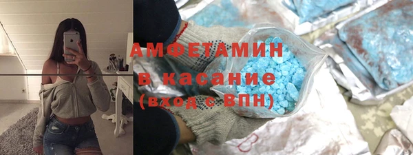 мет Алексин