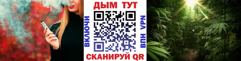 Бошки Шишки LSD WEED  наркошоп  Дубна 
